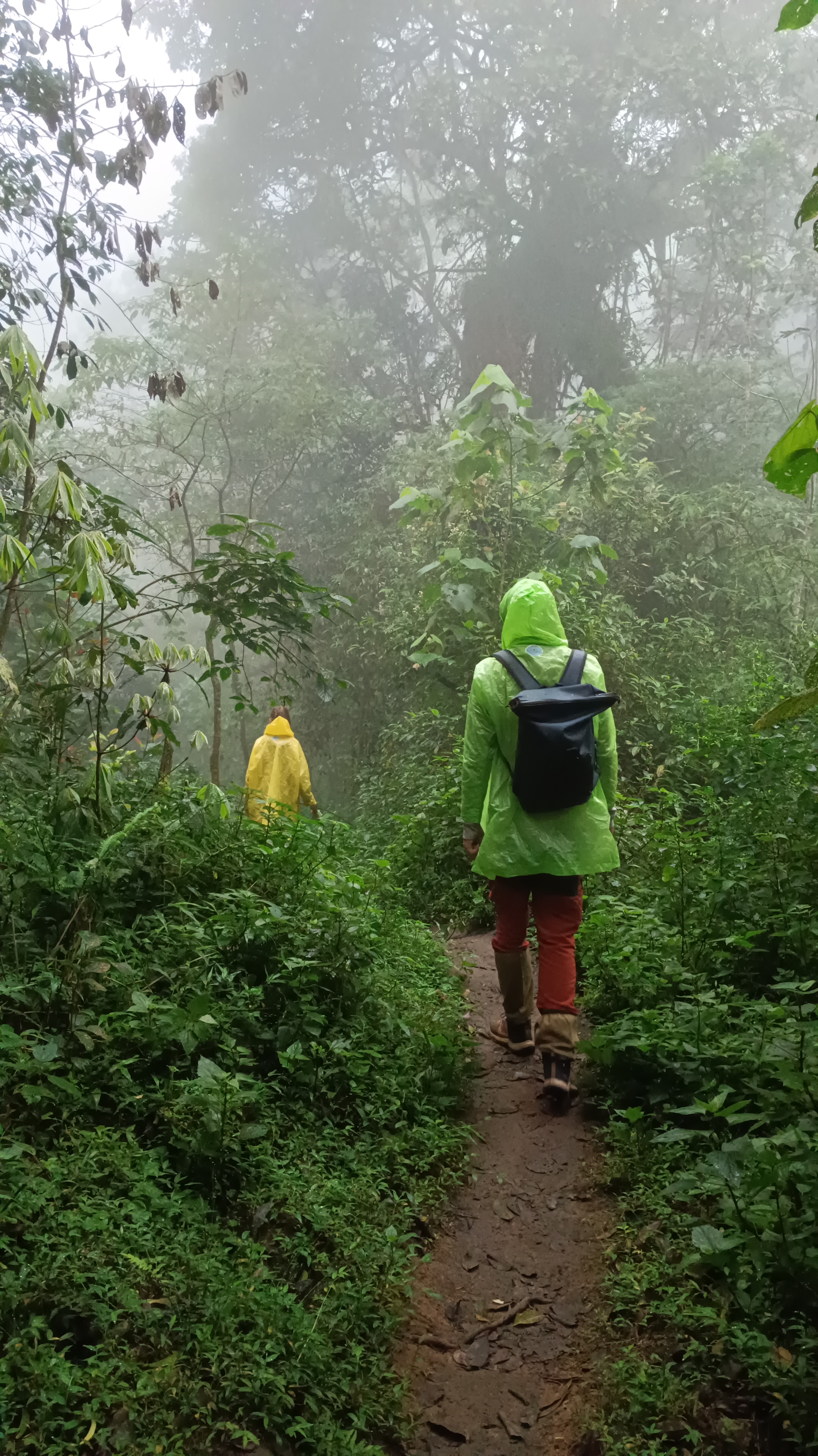 Tourmunnar