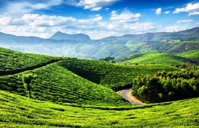 Tourmunnar