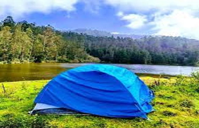 Tourmunnar