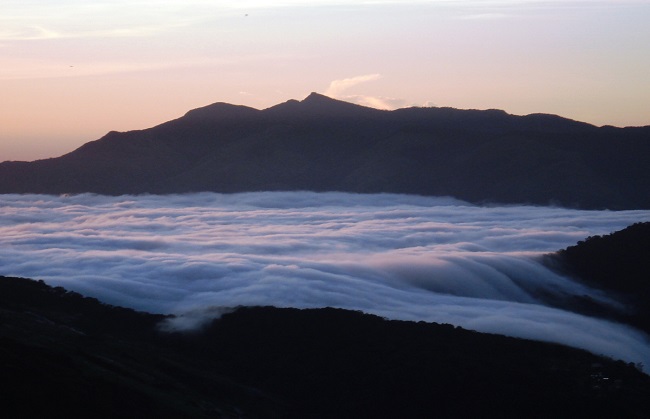 Tourmunnar