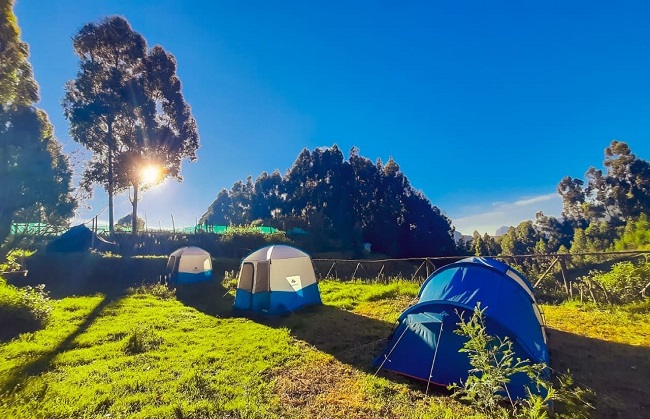 tourmunnar