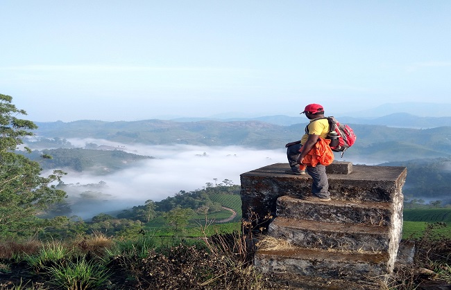 tourmunnar