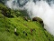 Tormunnar