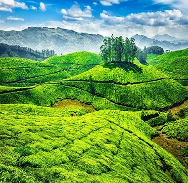 tourmunnar