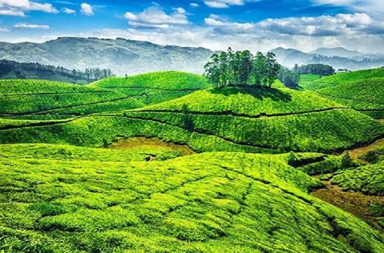 tourmunnar